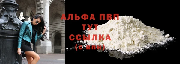 стафф Зеленокумск