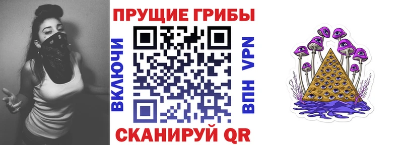 Псилоцибиновые грибы ЛСД  купить наркоту  Ак-Довурак 